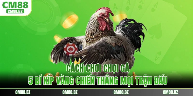 Cách Chơi Chọi Gà - 5 Bí Kíp Vàng Chiến Thắng Mọi Trận Đấu