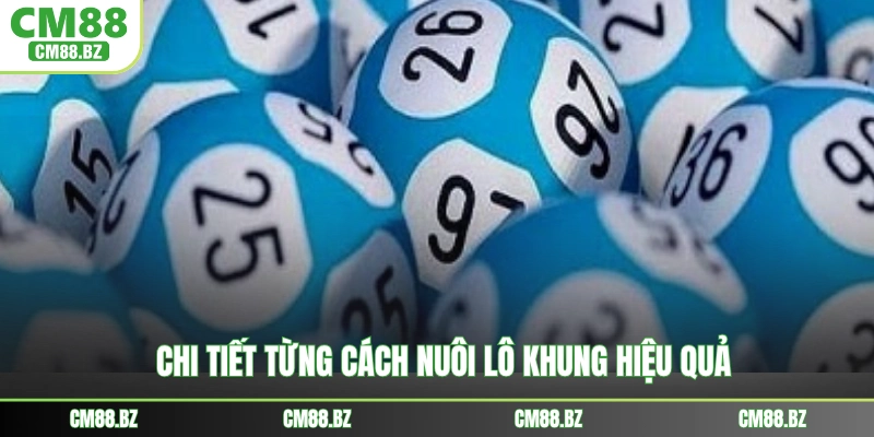 Chi tiết từng cách nuôi lô khung hiệu quả
