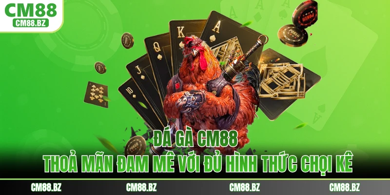 Đá Gà CM88 - Thoả Mãn Đam Mê Với Đủ Hình Thức Chọi Kê