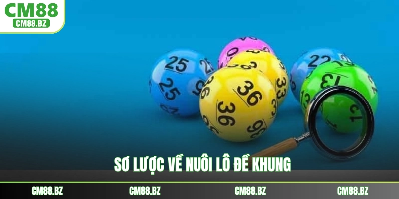 Sơ lược về nuôi lô đề khung